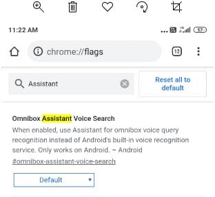 Omnibox-Assitant-Voice-Search-flag.jpg