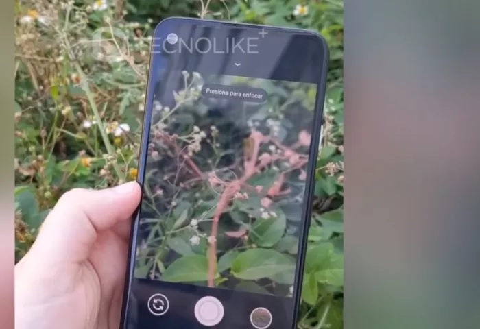 Pixel 4A.jpg