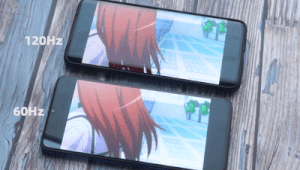 kk.gif