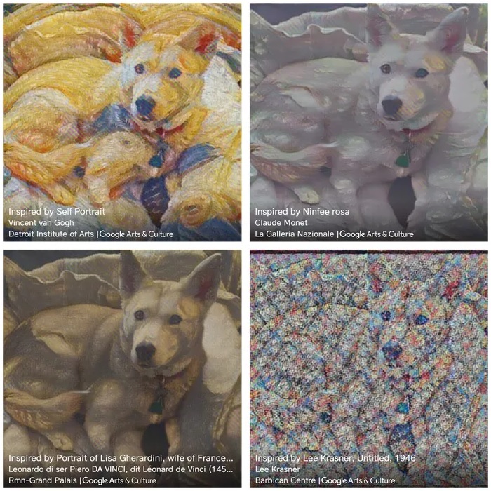 zelda Dog.jpg