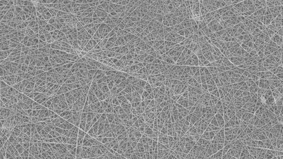 WhatsApp Image 2020-03-11 at 5.20.06 PM.jpeg