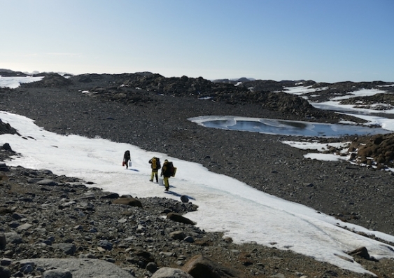 antarctica_l1030180_3.jpg