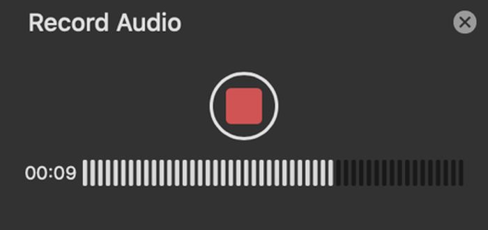 Record audio(1).jpg