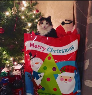 9f25d38d-5f81-433d-bca0-04e61bc47b1d-Lottie_-_Christmas_2015_002.jpg