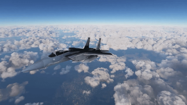 Microsoft Flight Simulator.gif
