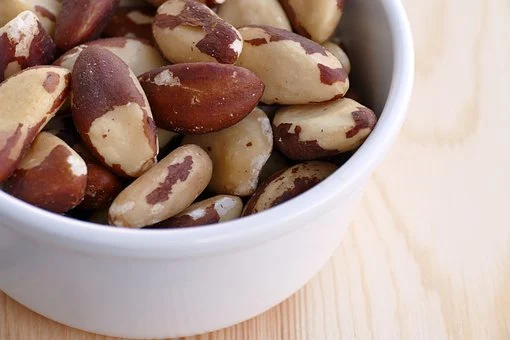 brazil-nuts-5252364__340.webp