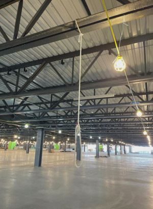 amazon-noose-ct-02.jpg