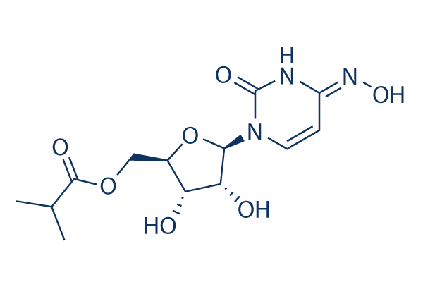 S8969-EIDD-2801-chemical-structure-.gif