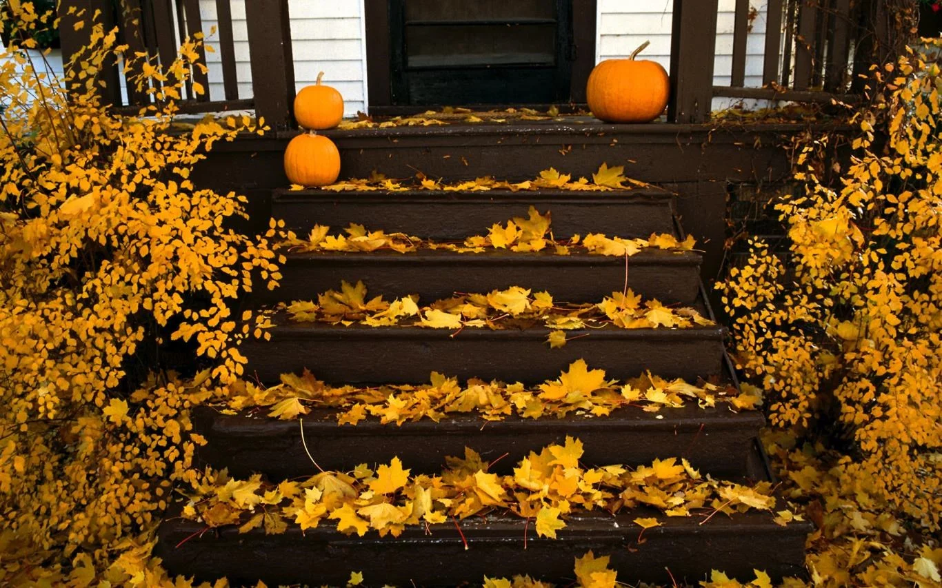 halloween-3.webp