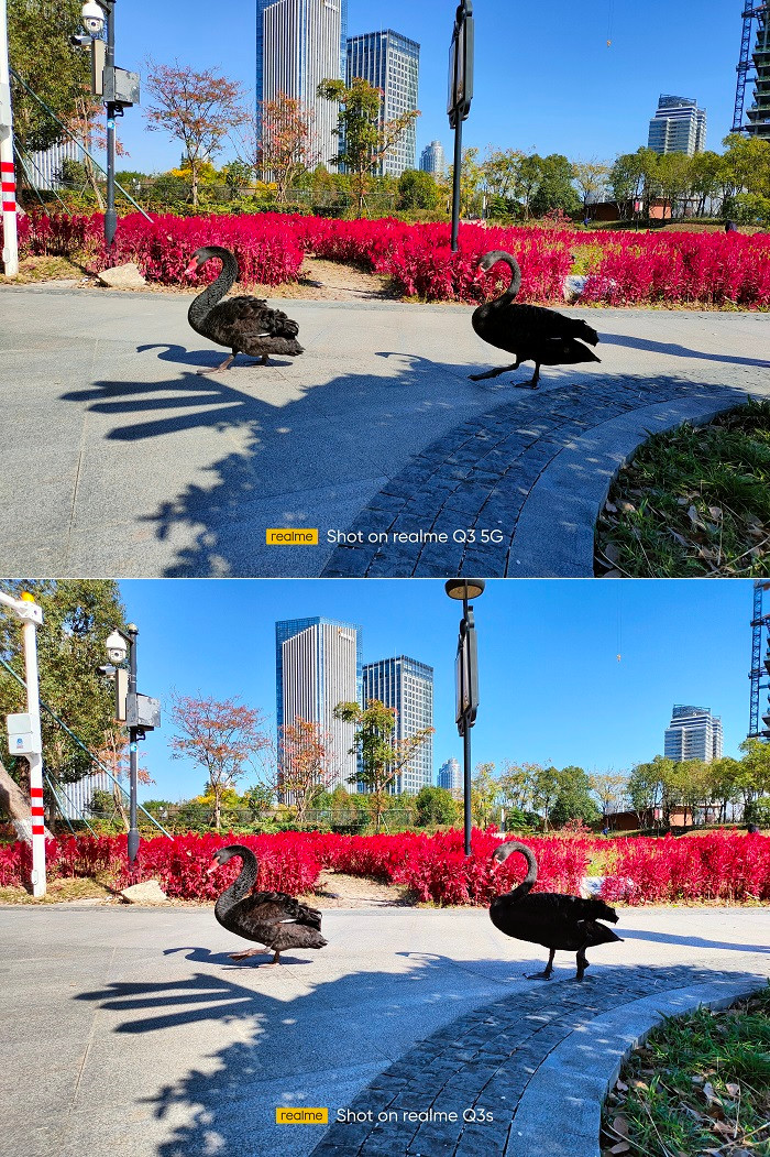 【黑天鹅】IMG20211125122018.jpg