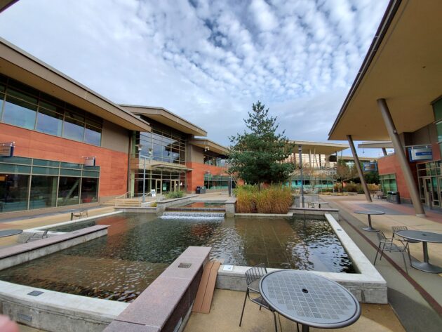 20201207_134838-630x473.jpg