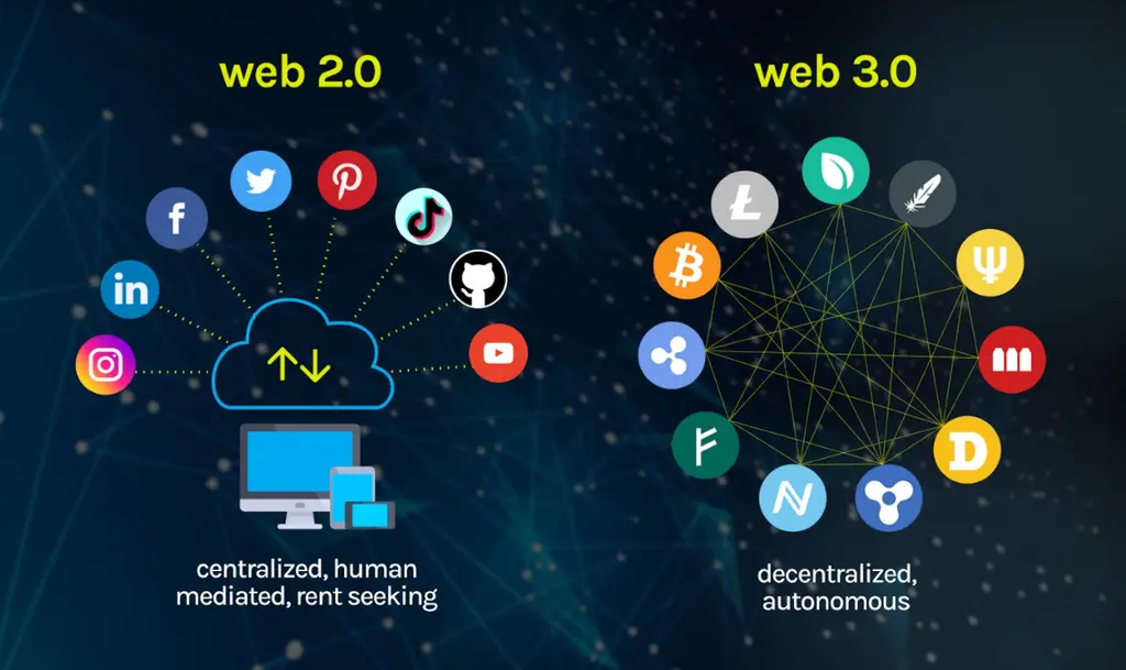 ypqldhvz.webp