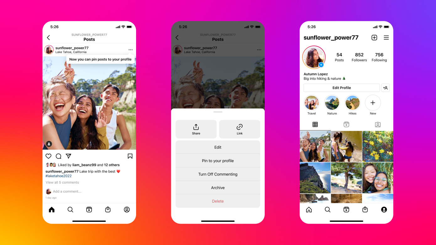 instagram-pin-posts.webp