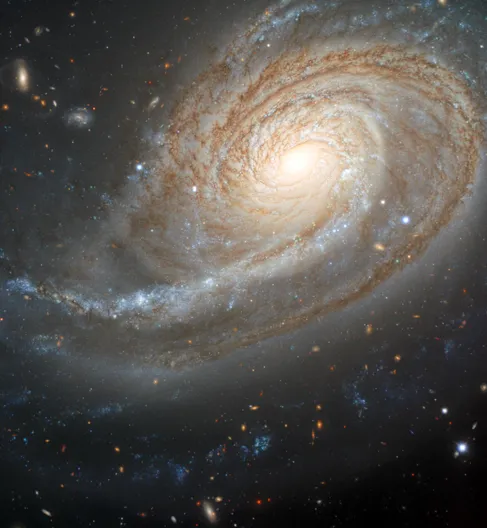 Galaxy-NGC-772.webp