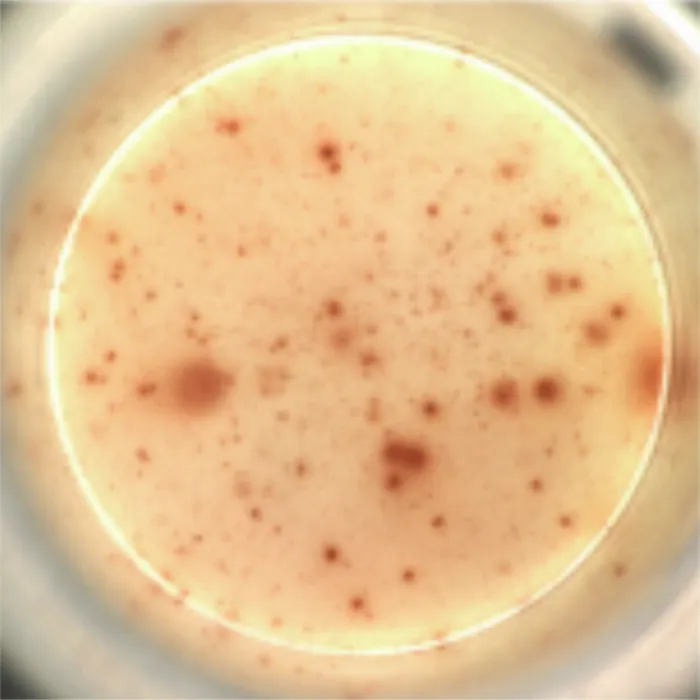 Engineered-HIV-Cells.webp