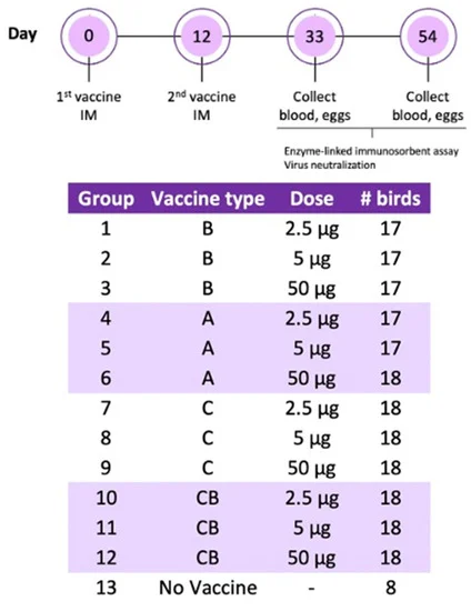 viruses-14-01510-g001-550.webp