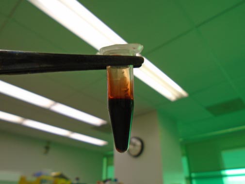 Extract-Containing-Jawsamycin.jpg
