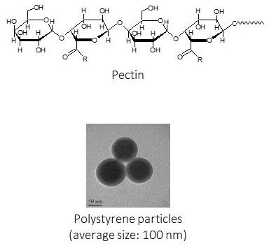 Polystyrene-Particles.jpg
