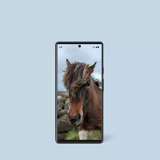 ezgif.com-gif-maker-2.webp