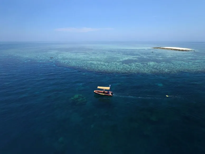 Great-Barrier-Reef-Highest-Coral-Cover-777x583.webp