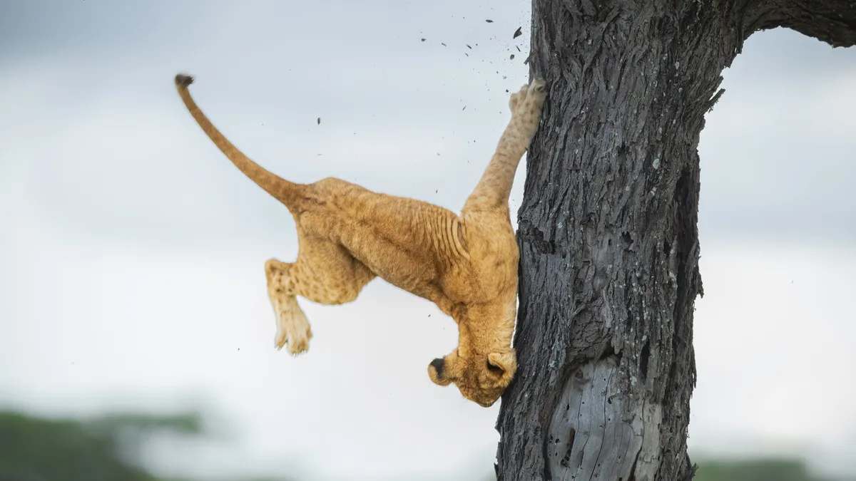 11-jennifer-hadley-not-so-cat-like-reflexes-00005239.webp