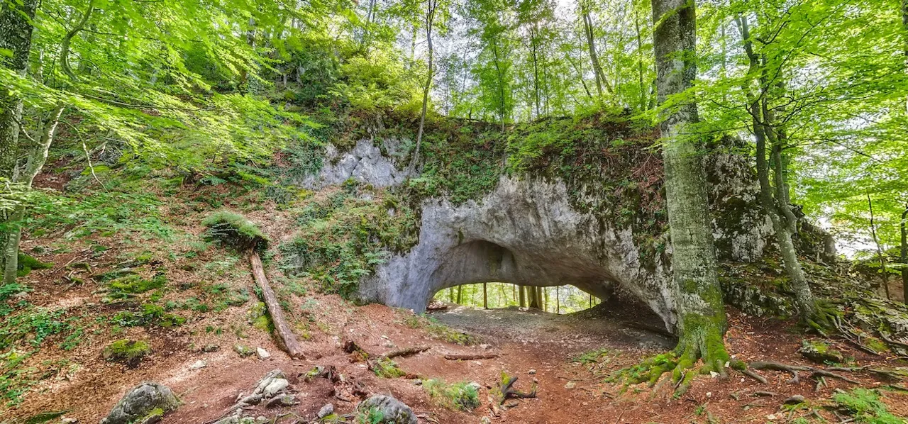 uzhanskyi-national-nature-park-21.webp