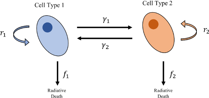 285_2022_1819_Fig1_HTML.png