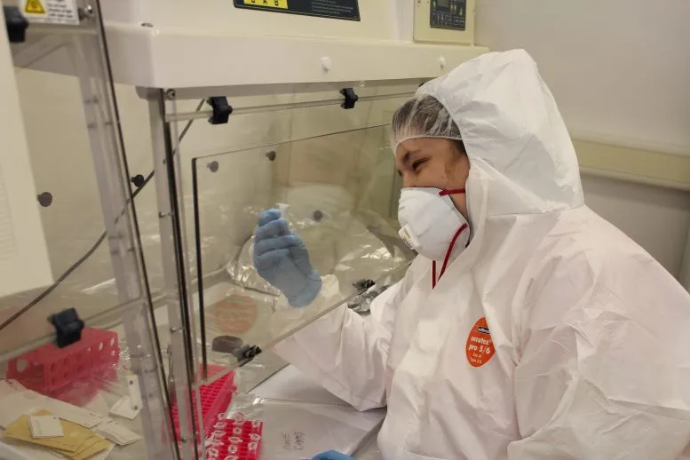 Lead-Author-Dr.-Julia-Kreiner-Performing-DNA-Extractions-777x518.webp