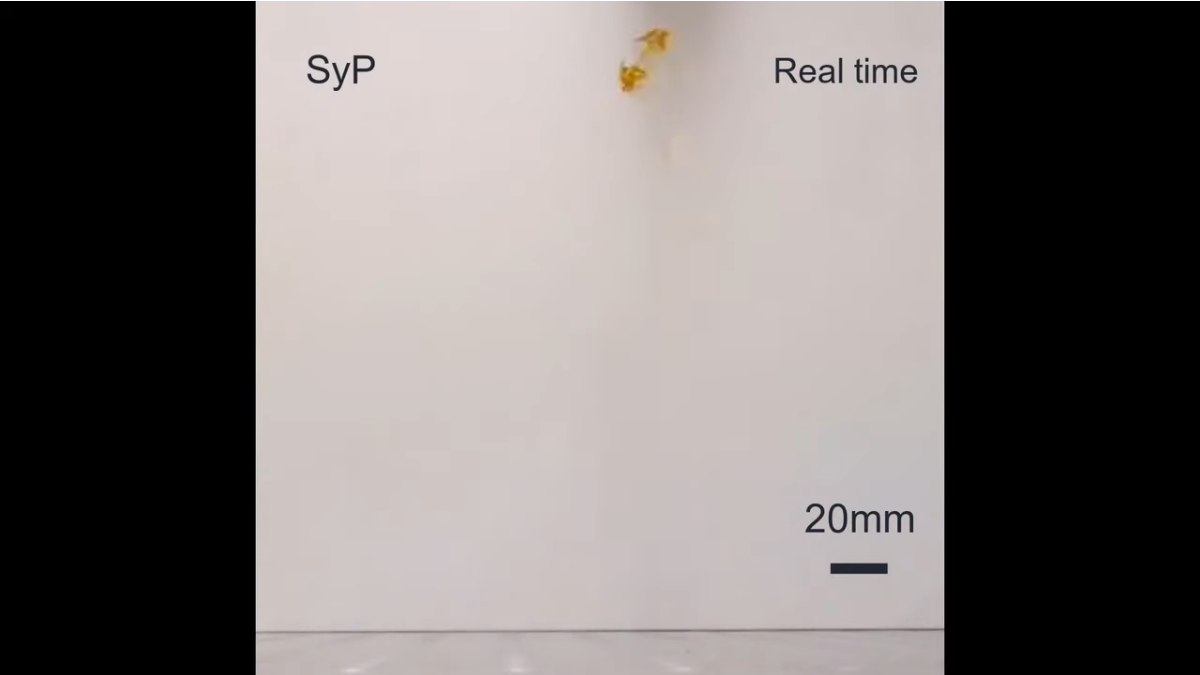 1674676746550.jpg