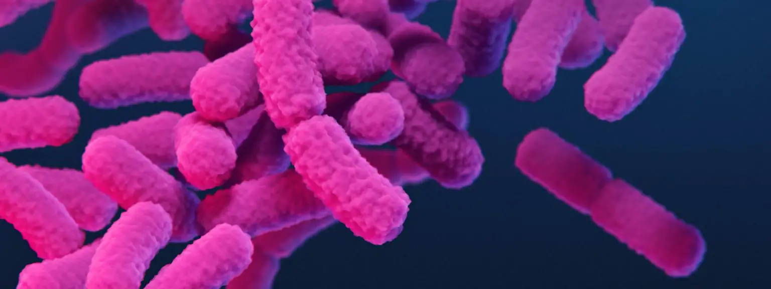 Enterobacter-Strain-1536x576.webp