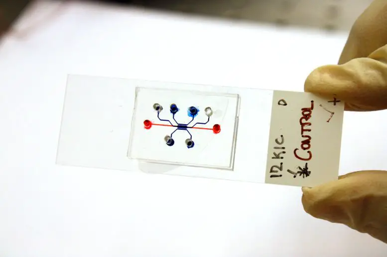 Cancer-Cells-in-Microfluidic-Device-777x517.webp
