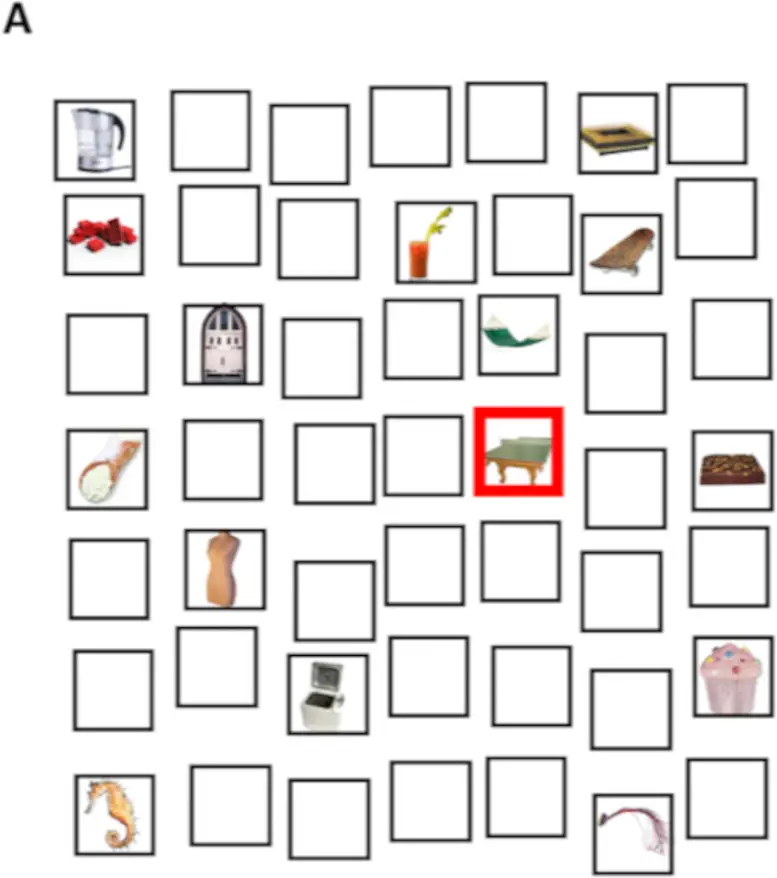 Object-Grid-Memory.webp