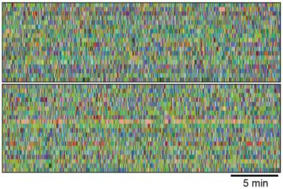 syllable sequence_cropped.jpg