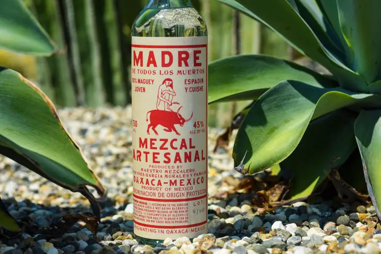 Mezcal-Bottle-777x518.webp