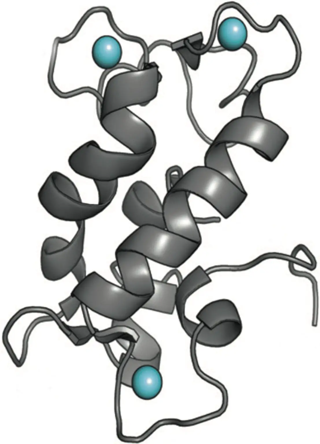 Structure-of-a-Natural-Protein-Called-Lanmodulin-1107x1536.webp