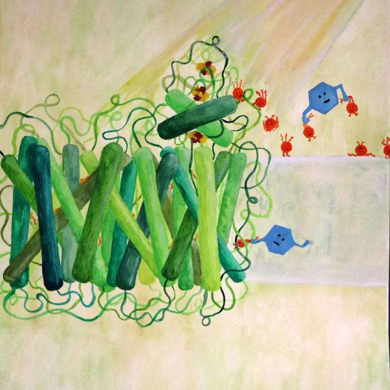 Photosynthesis-Hack-New-Ways-of-Generating-Renewable-Energy-777x777.webp