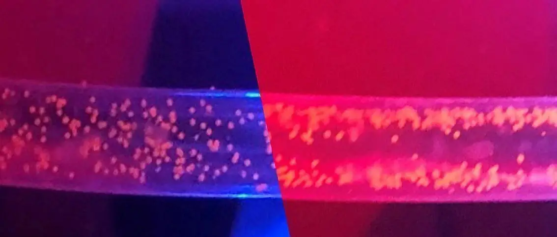 Pulsing-Ultrasound-Waves-Could-Remove-Microplastics-From-Waterways.webp