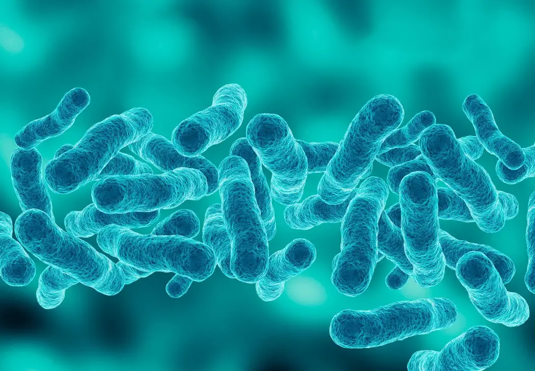 Blue-Bacteria-Pneumonia.webp