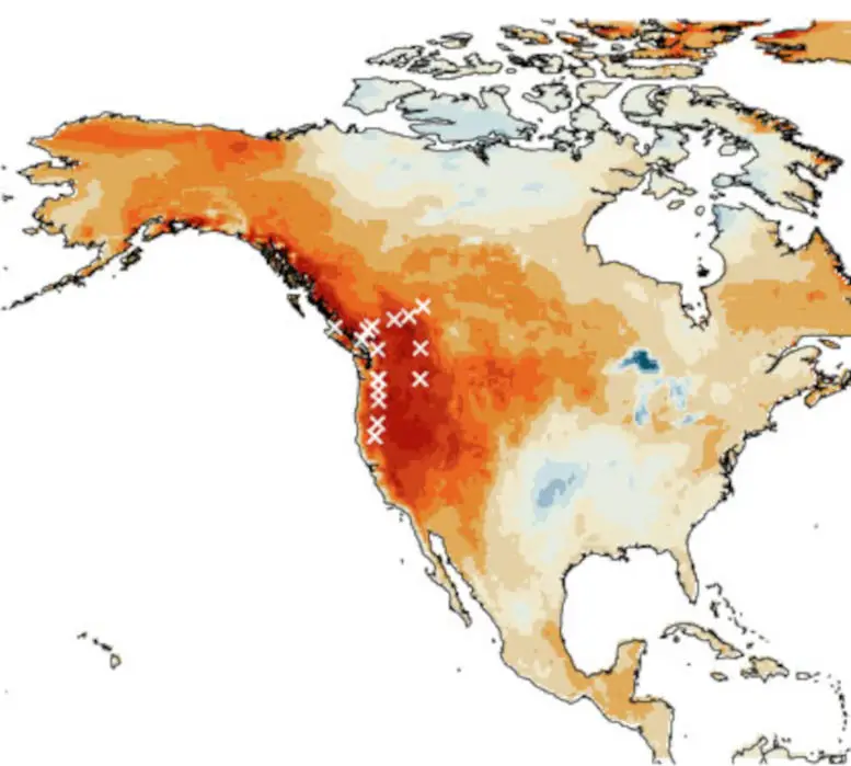 The-Summer-2021-Western-North-America-Heat-Wave.webp