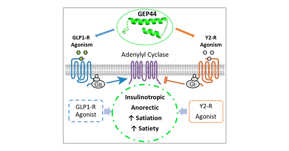 images_acs.jmedchem.0c01783.social.jpg