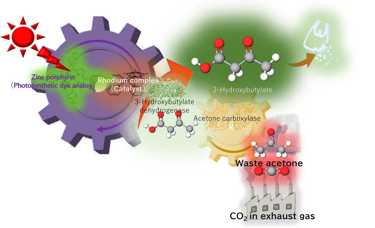 Turning-Waste-CO2-and-Acetone-Into-Biodegradable-Plastic-Precursor.webp