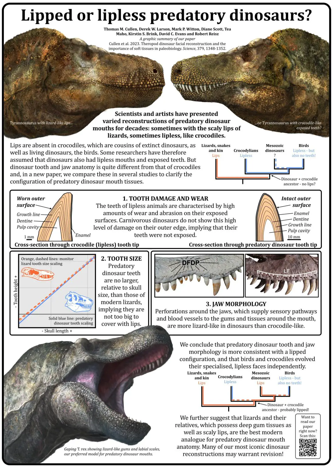 Theropods-Lips-Infographic-1096x1536.webp