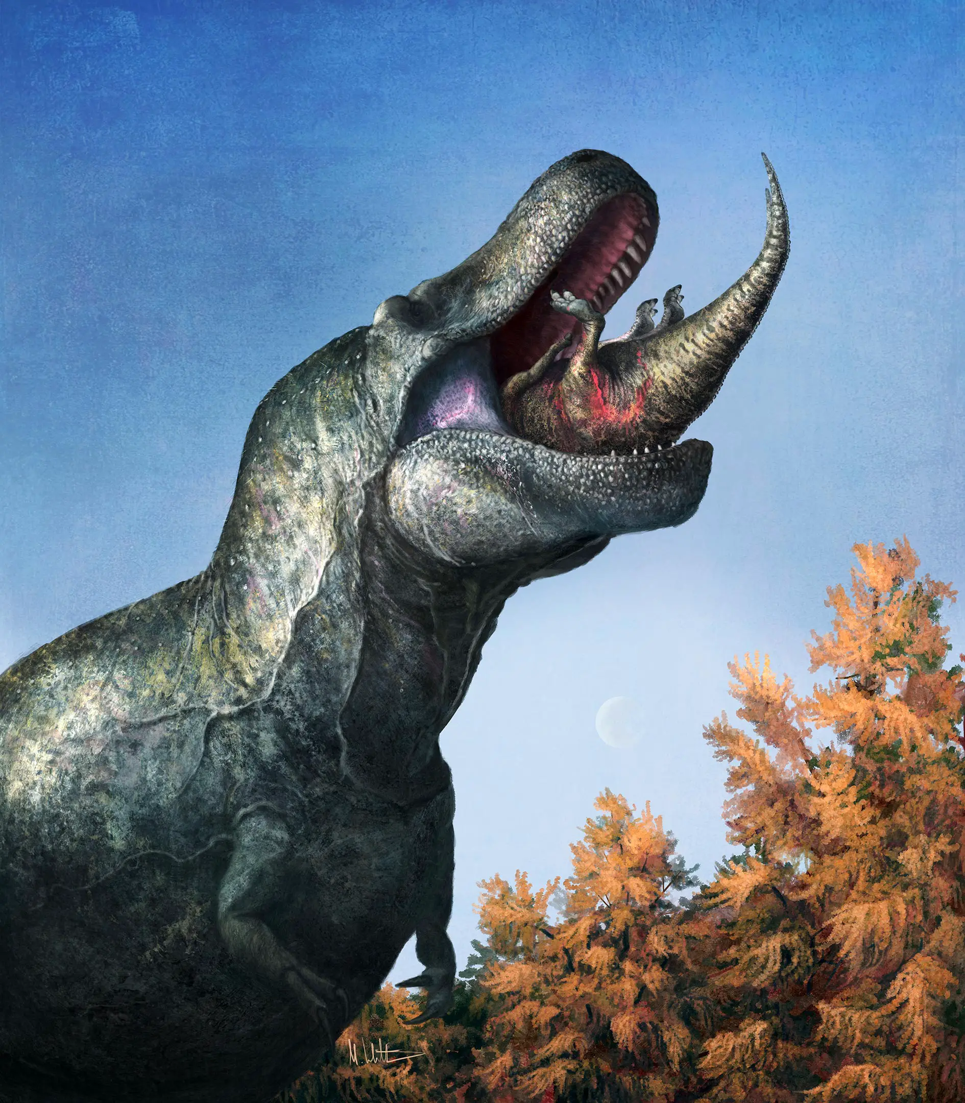 Tyrannosaurus-Lipped-Mouth.webp