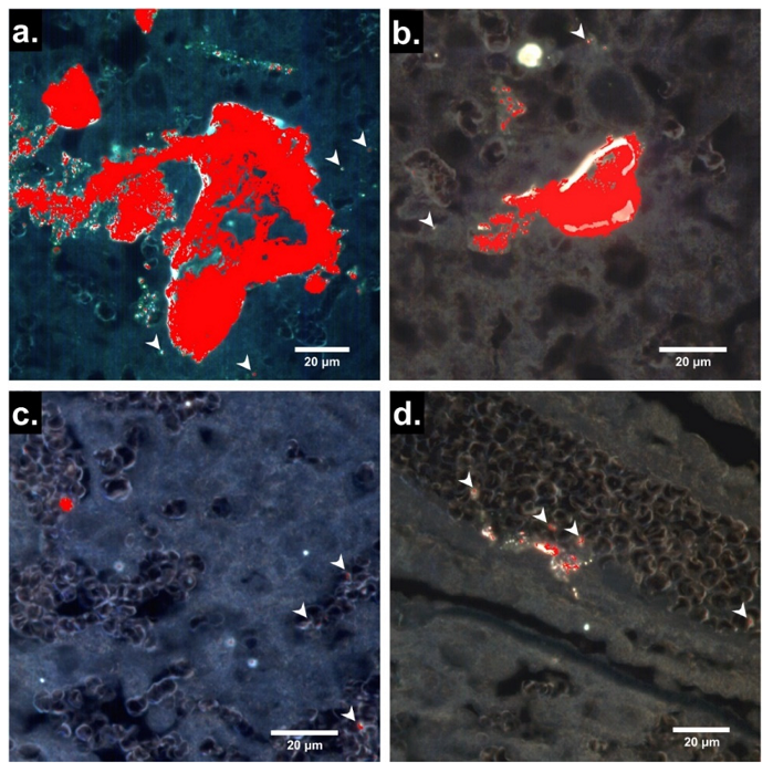 nanomaterials-13-00720-g003.png