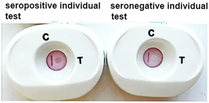 Seropos-and-Seroneg-Tests.webp