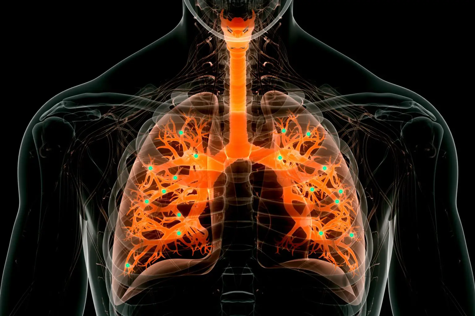 New-Nanoparticles-Gene-Editing-in-Lungs-1536x1024.webp