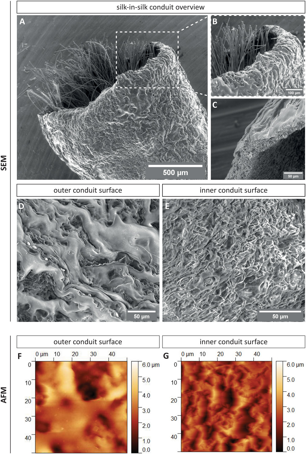 adhm202203237-fig-0001-m.jpg