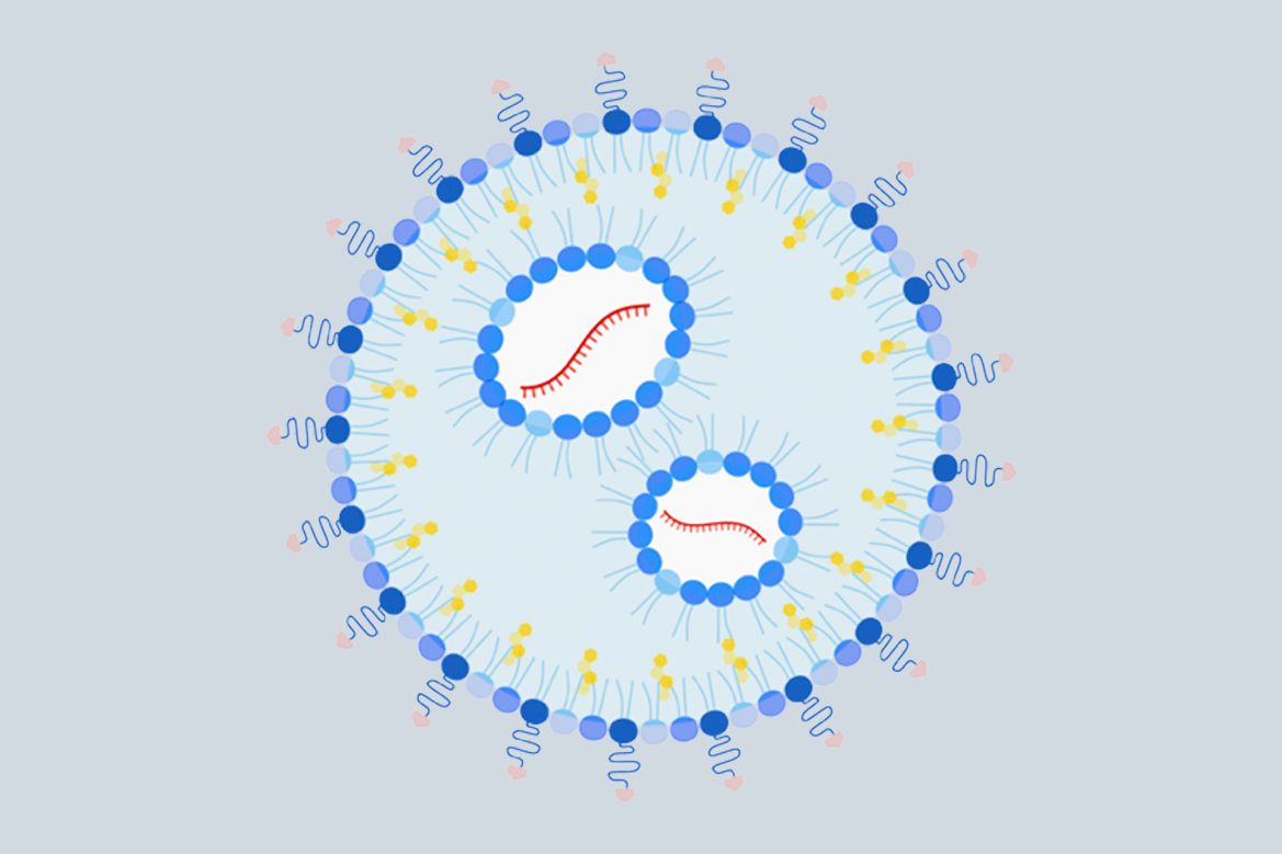 Nanoparticle+to+treat+allergy_hero.jpg
