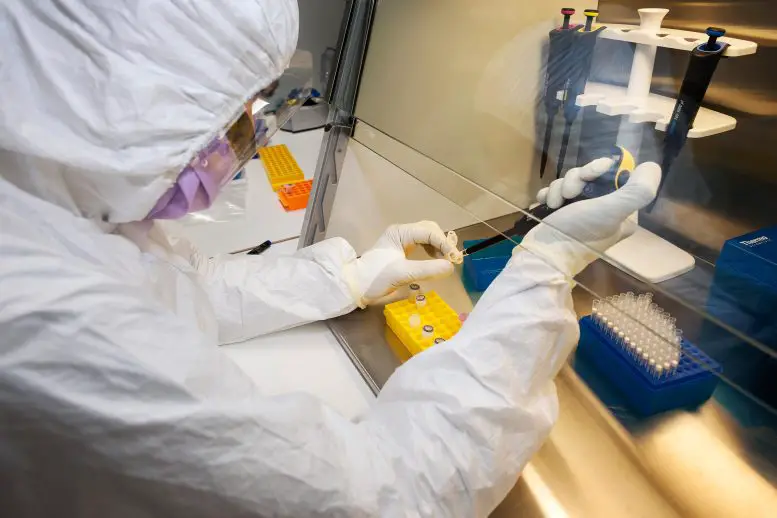 Marianne-Dehasque-Ancient-DNA-Lab-777x518.webp