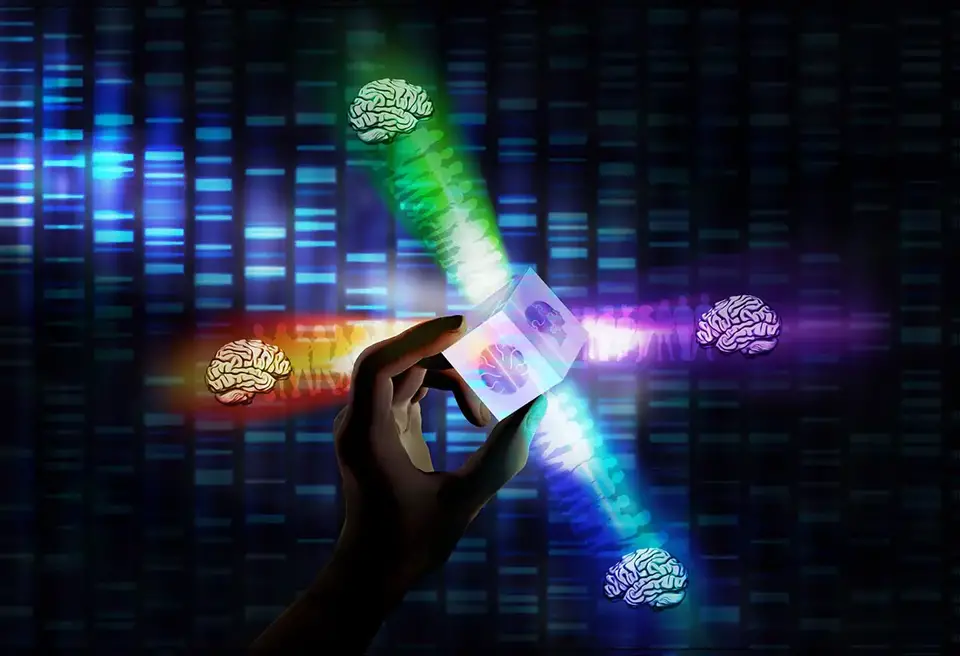Three-Brain-Behavior-Dimensions.webp
